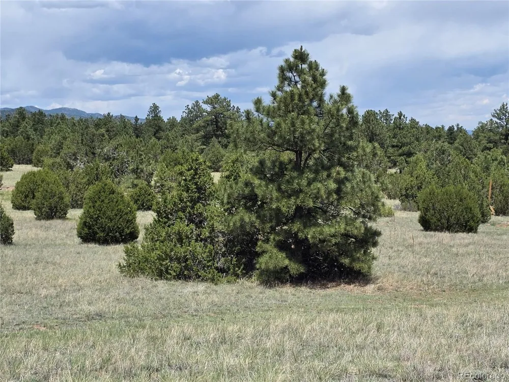 0 County Road 15 Florence, CO 81226