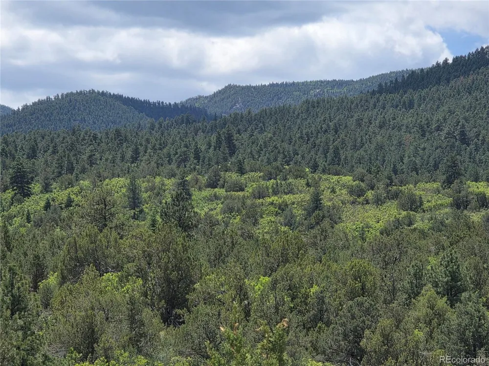 0 County Road 15 Florence, CO 81226
