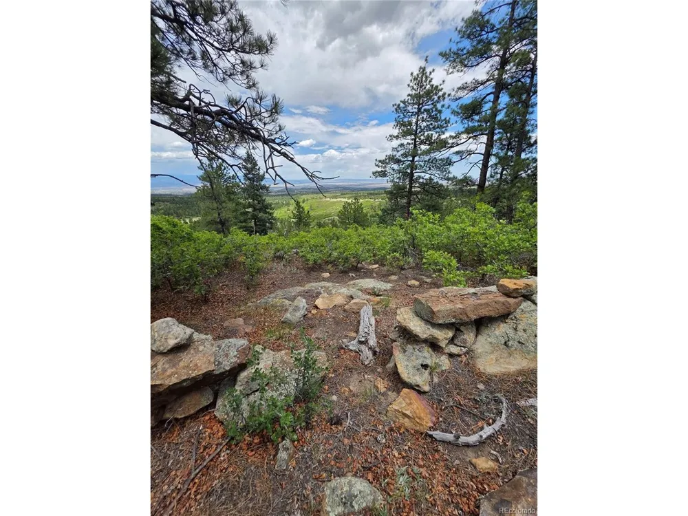 0 County Road 15 Florence, CO 81226