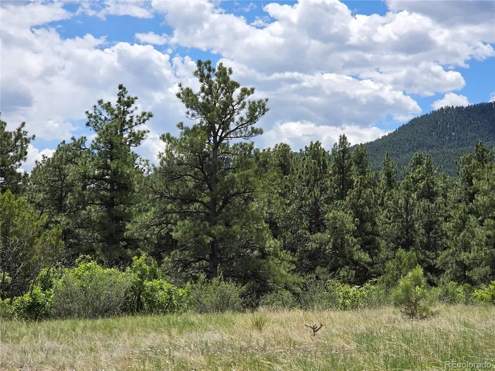 0 County Road 15 Florence, CO 81226