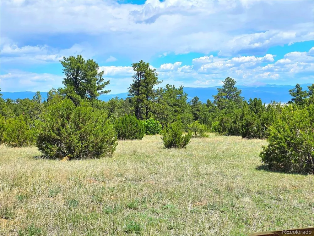 0 County Road 15 Florence, CO 81226