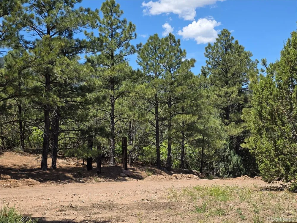 0 County Road 15 Florence, CO 81226