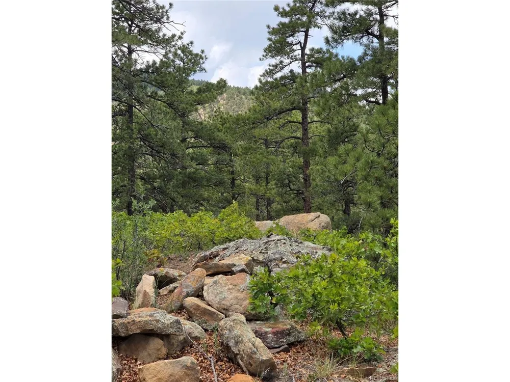 0 County Road 15 Florence, CO 81226