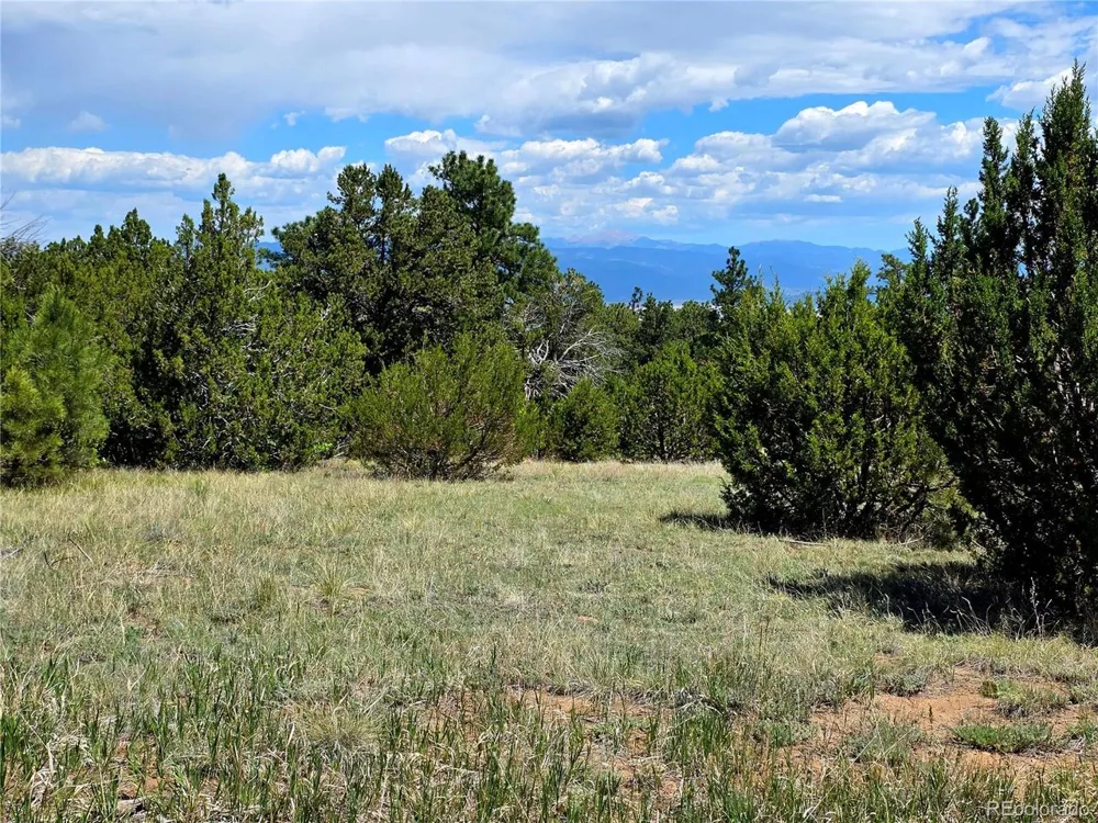 0 County Road 15 Florence, CO 81226