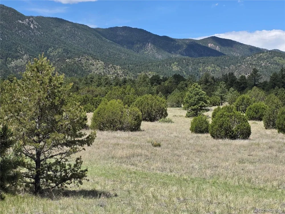 0 County Road 15 Florence, CO 81226