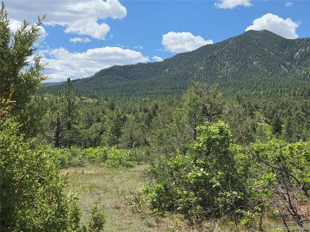 0 County Road 15 Florence, CO 81226