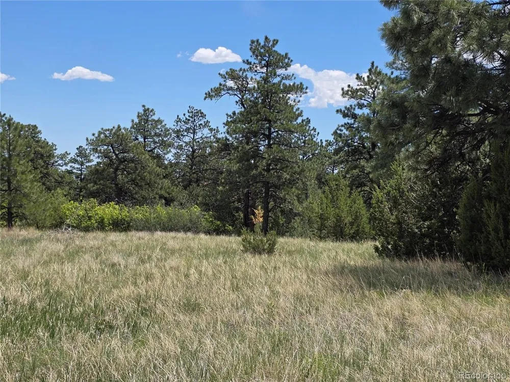 0 County Road 15 Florence, CO 81226