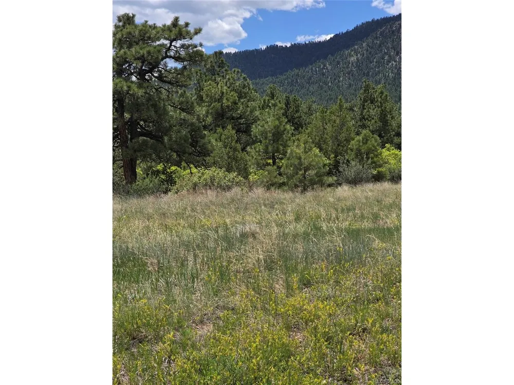 0 County Road 15 Florence, CO 81226