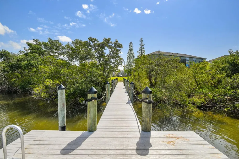 873 TENNYSON MILL CIRCLE Tampa, FL 33619