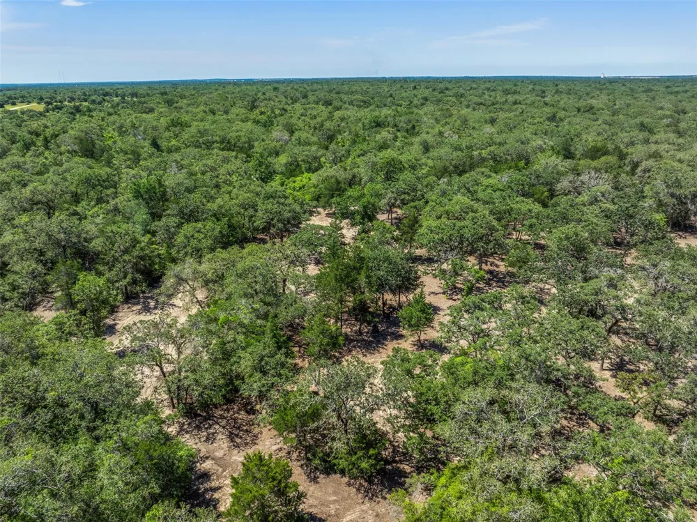2465 County Road 58 Caldwell, TX 77836