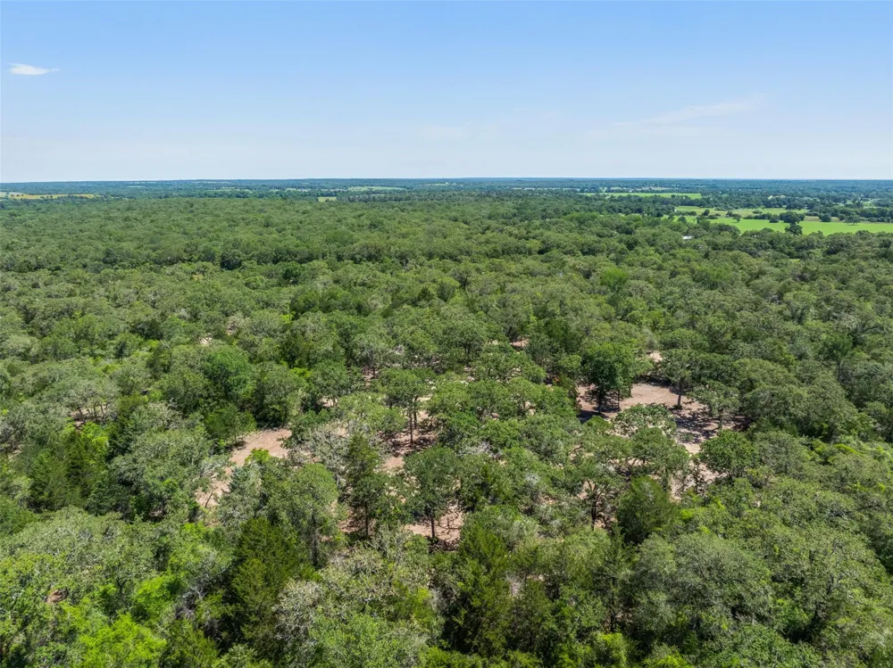 2465 County Road 58 Caldwell, TX 77836