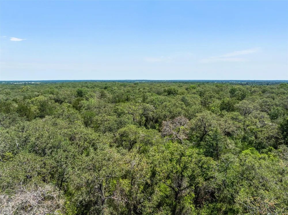 2465 County Road 58 Caldwell, TX 77836