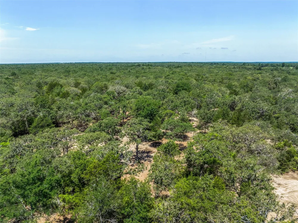 2465 County Road 58 Caldwell, TX 77836