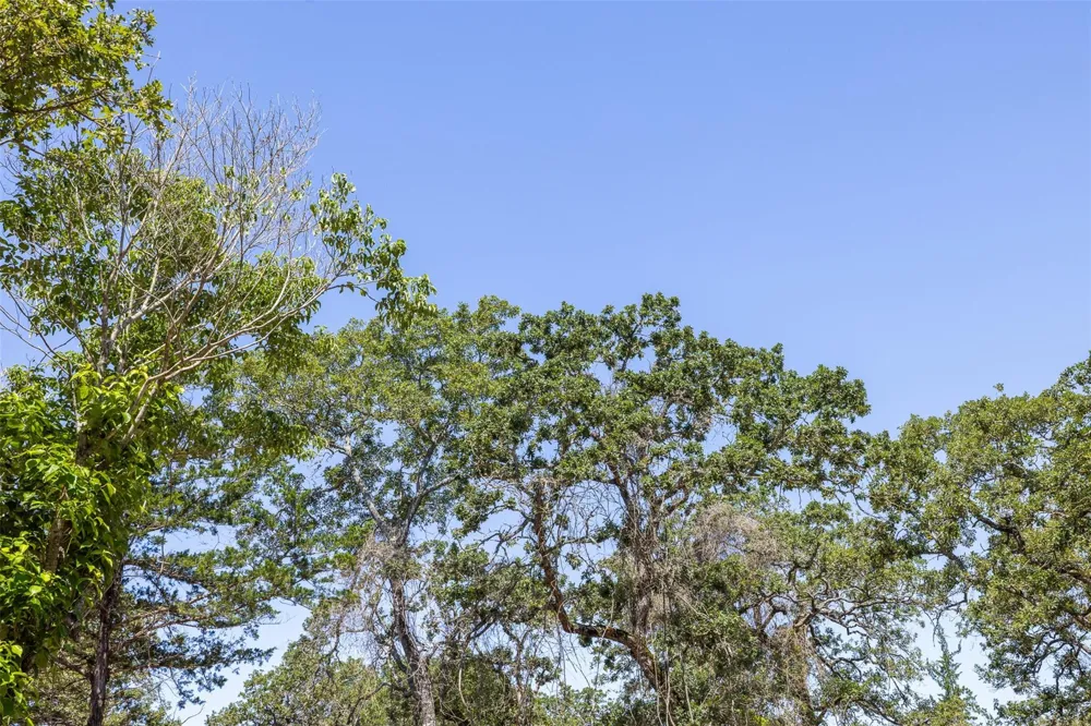 2465 County Road 58 Caldwell, TX 77836