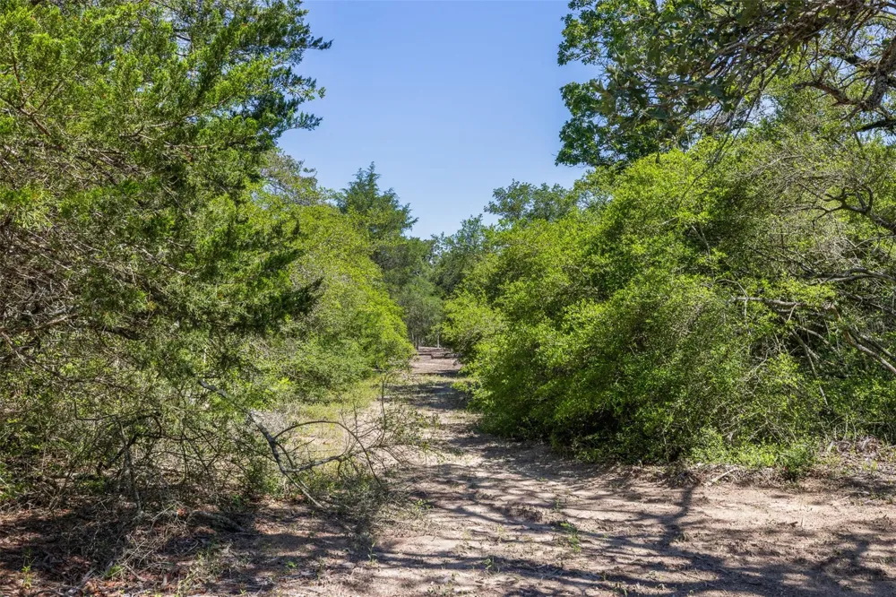 2465 County Road 58 Caldwell, TX 77836