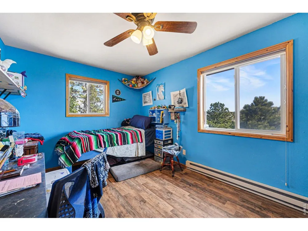 319 Springmeadow Way Red Feather Lakes, CO 80545