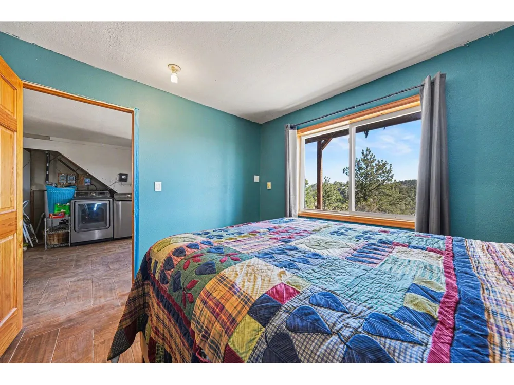 319 Springmeadow Way Red Feather Lakes, CO 80545