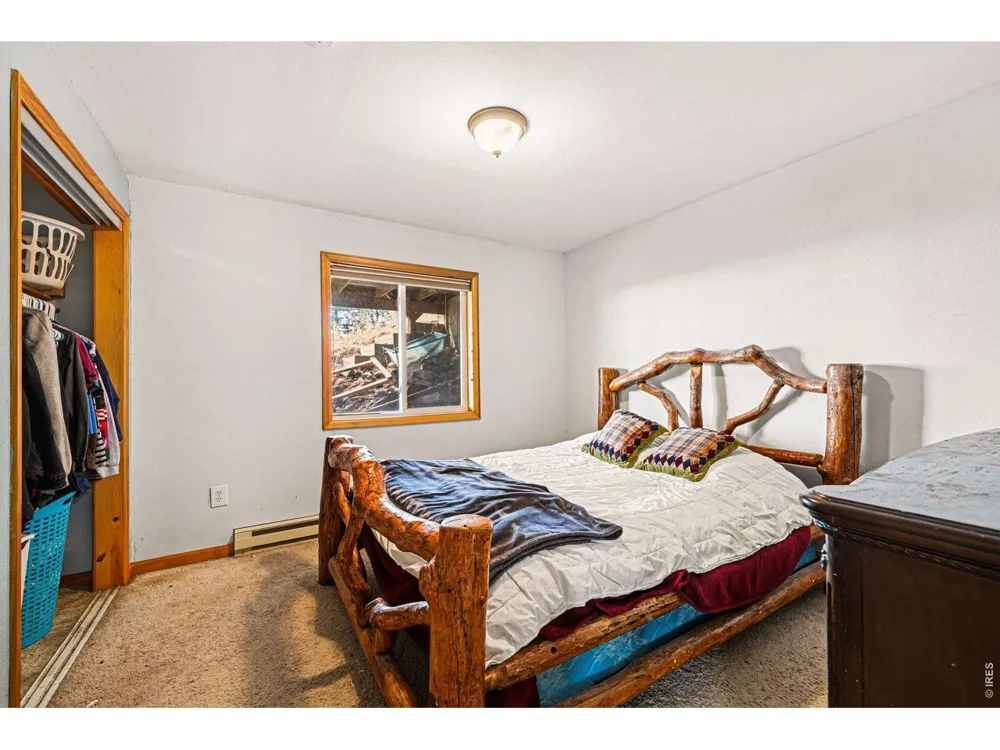 319 Springmeadow Way Red Feather Lakes, CO 80545