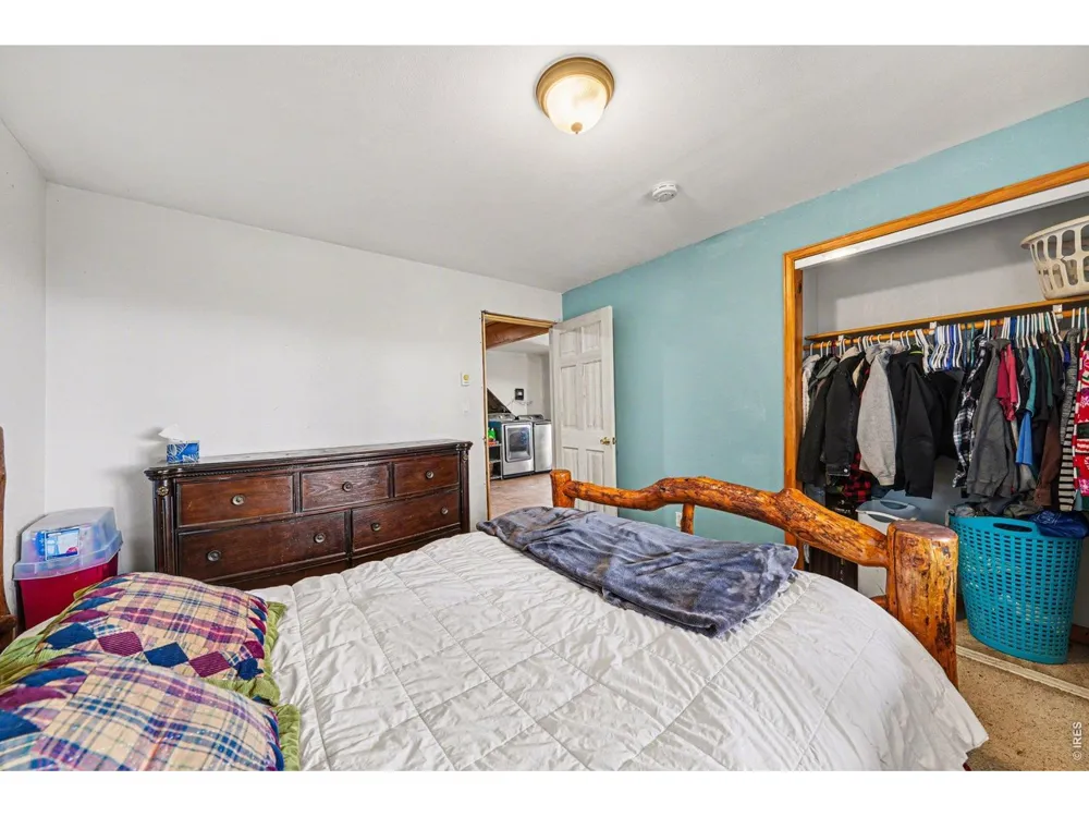 319 Springmeadow Way Red Feather Lakes, CO 80545