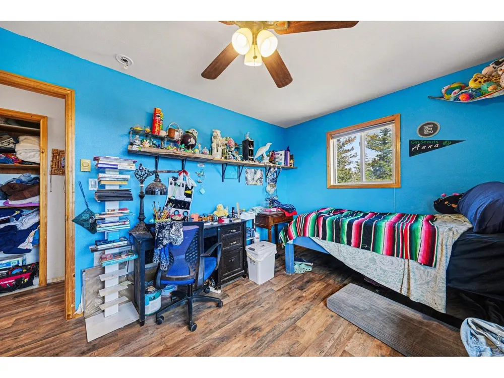 319 Springmeadow Way Red Feather Lakes, CO 80545