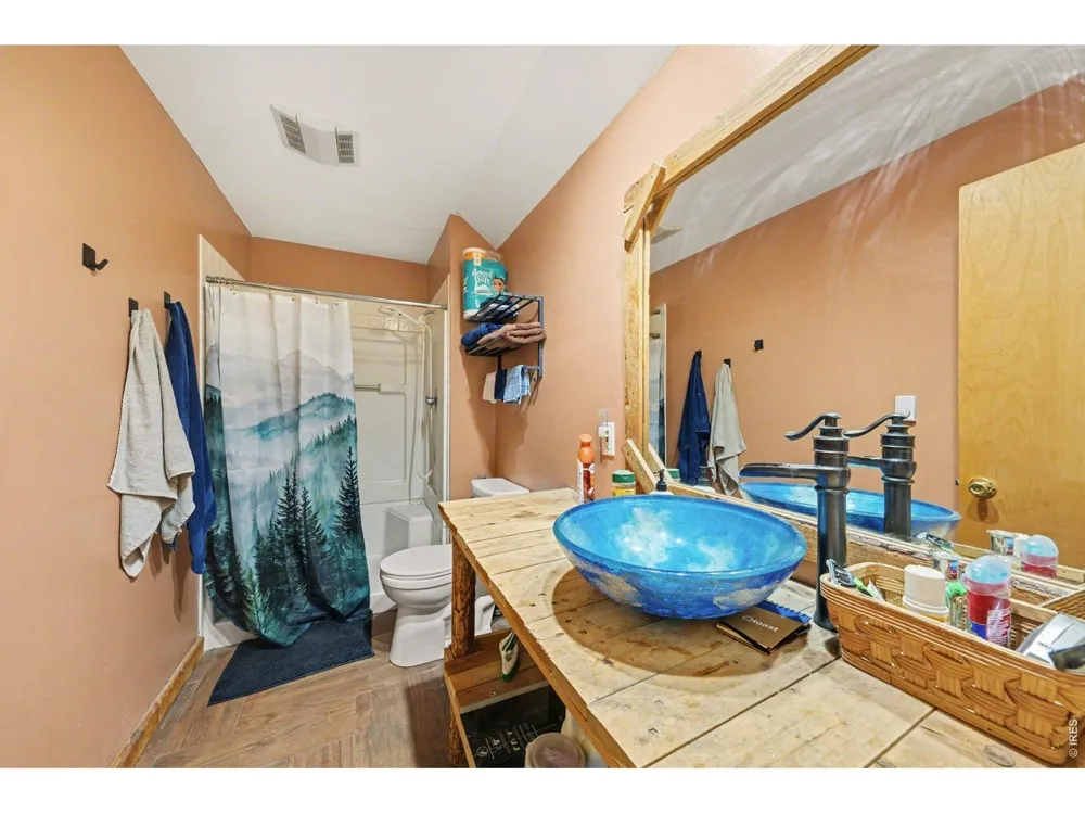 319 Springmeadow Way Red Feather Lakes, CO 80545