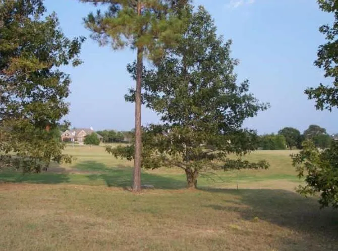 203 Sunnyvale E Montgomery, TX 77356