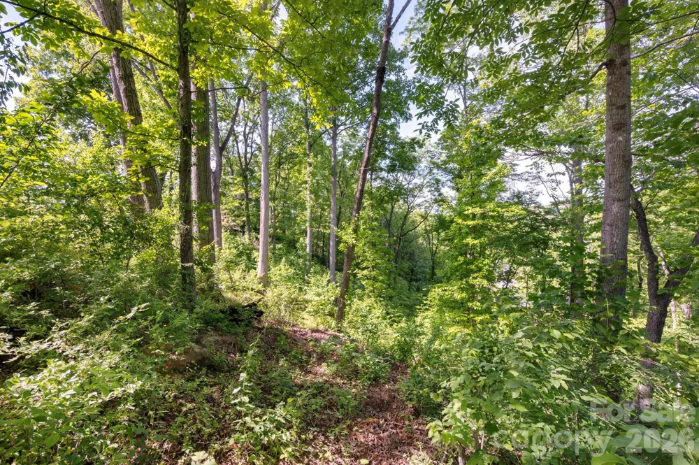 17 Tulip Poplar Trail #30 Asheville, NC 28804