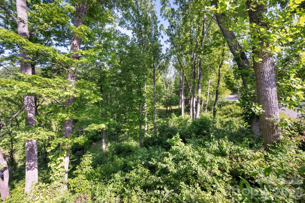 17 Tulip Poplar Trail #30 Asheville, NC 28804