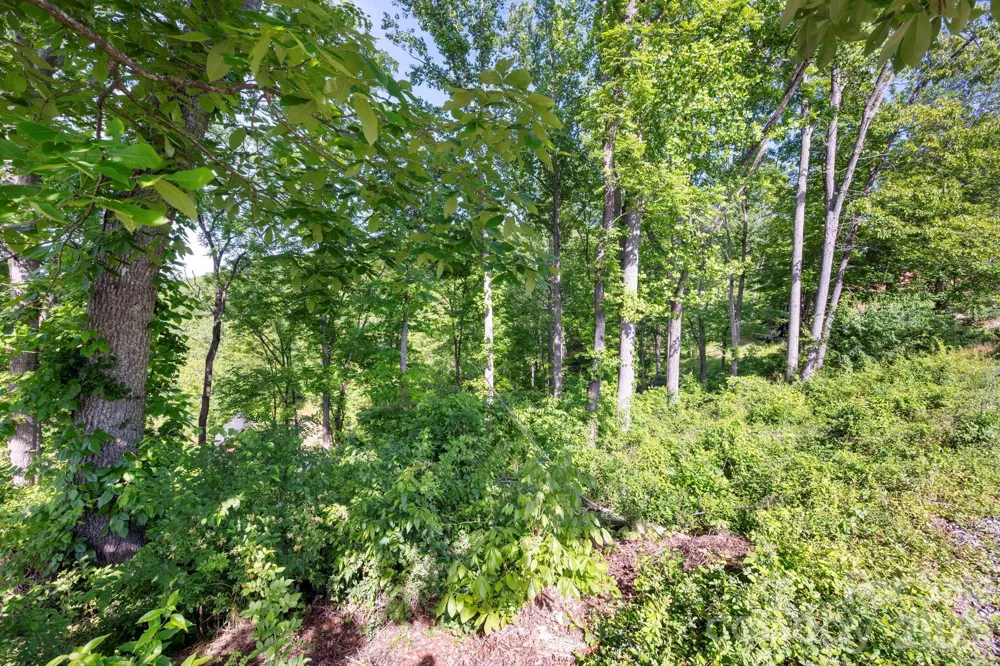17 Tulip Poplar Trail #30 Asheville, NC 28804