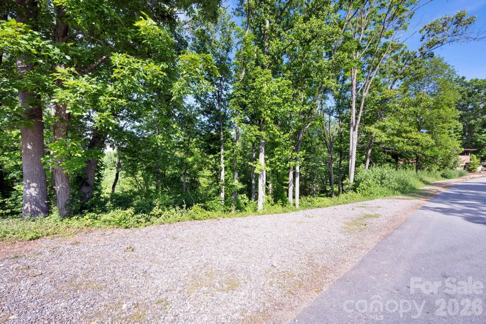 17 Tulip Poplar Trail #30 Asheville, NC 28804