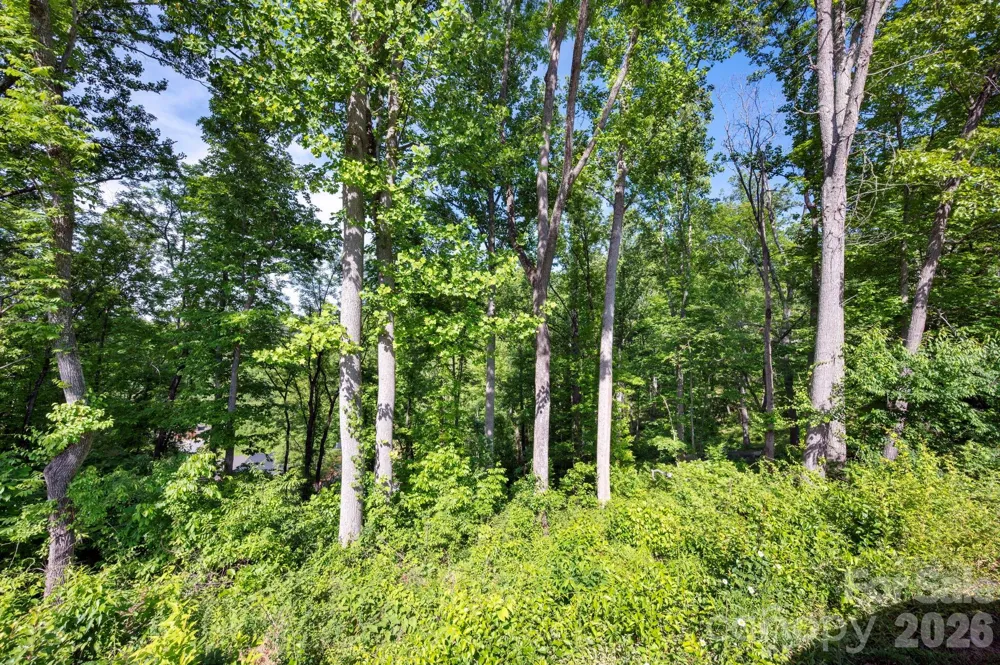 17 Tulip Poplar Trail #30 Asheville, NC 28804