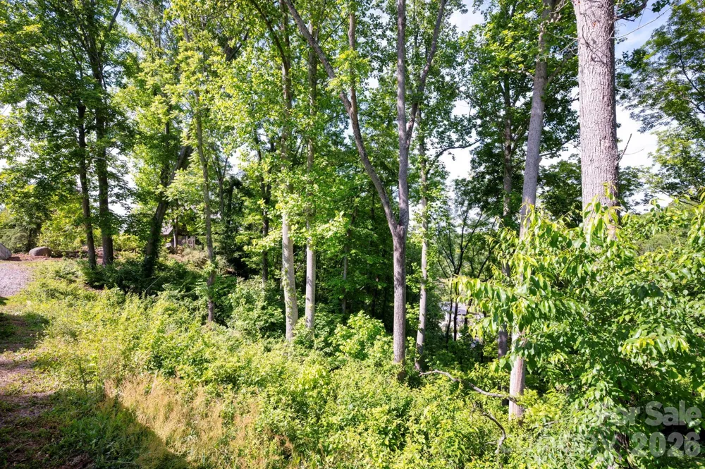 17 Tulip Poplar Trail #30 Asheville, NC 28804