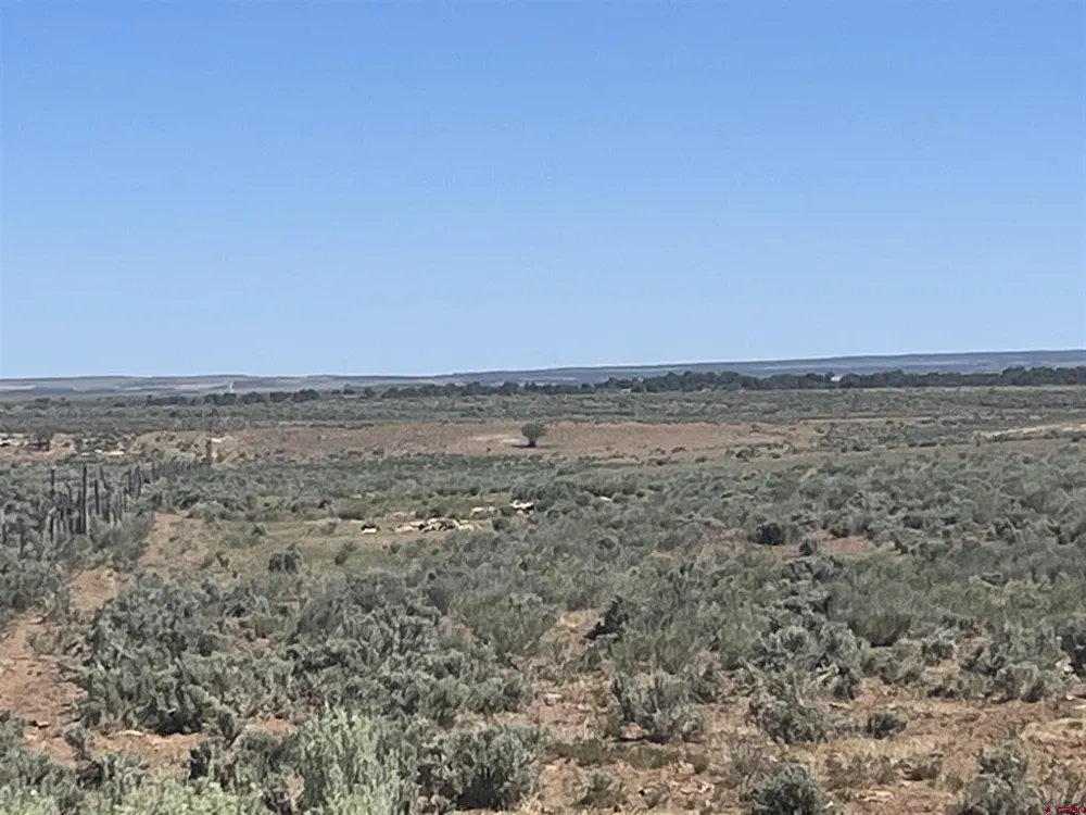 Road H (Rd 3.7) Dove Creek, CO 81324