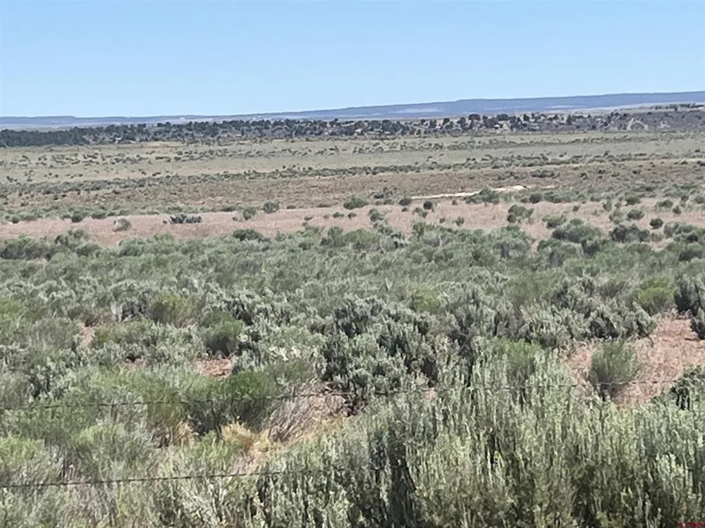 Road H (Rd 3.7) Dove Creek, CO 81324