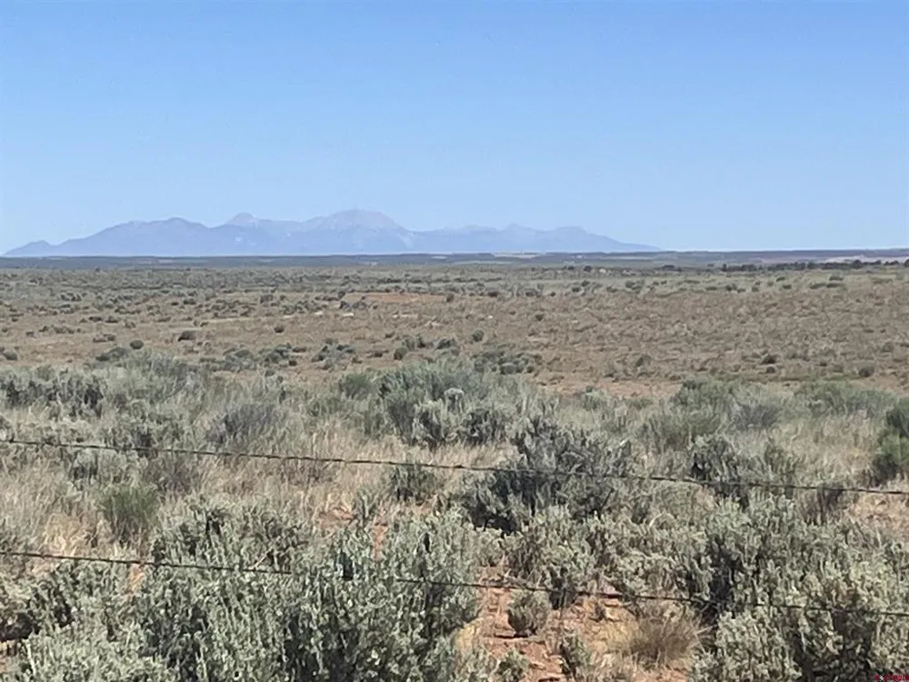 Road H (Rd 3.7) Dove Creek, CO 81324
