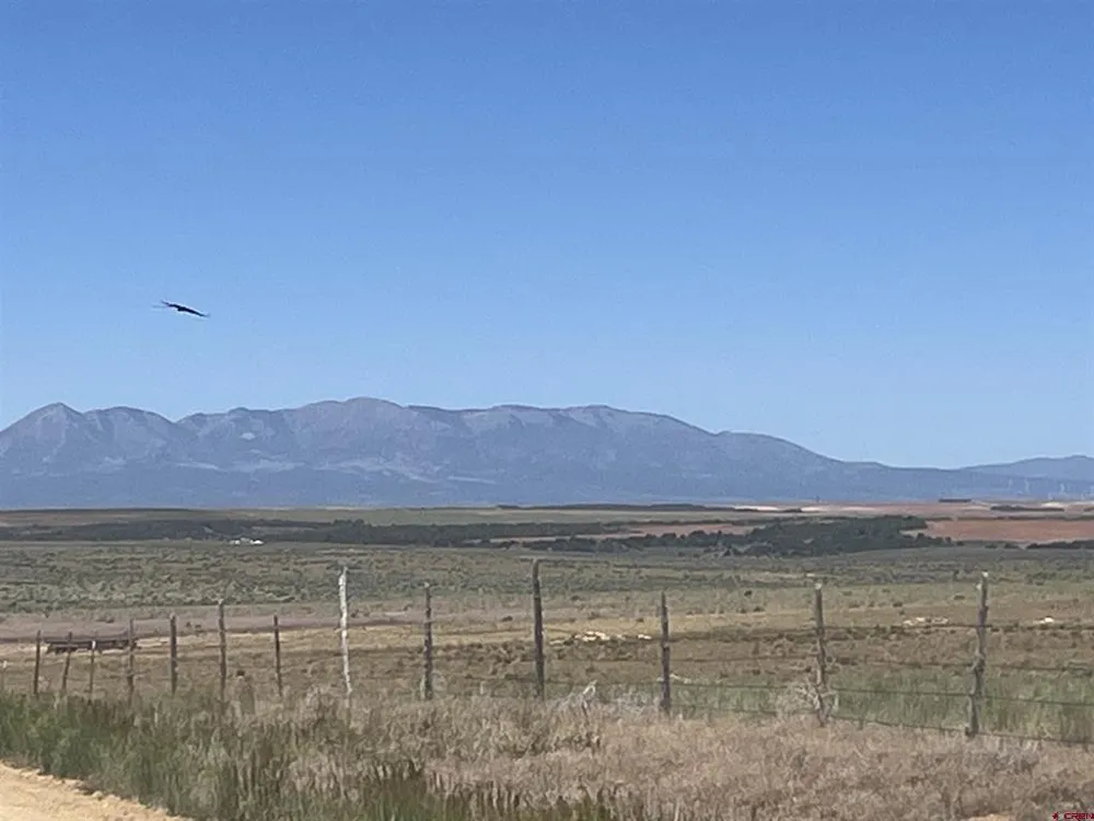 Road H (Rd 3.7) Dove Creek, CO 81324