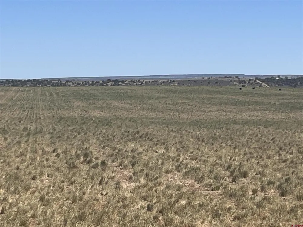Road H (Rd 3.7) Dove Creek, CO 81324