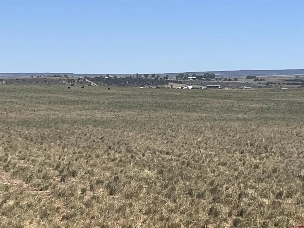 Road H (Rd 3.7) Dove Creek, CO 81324
