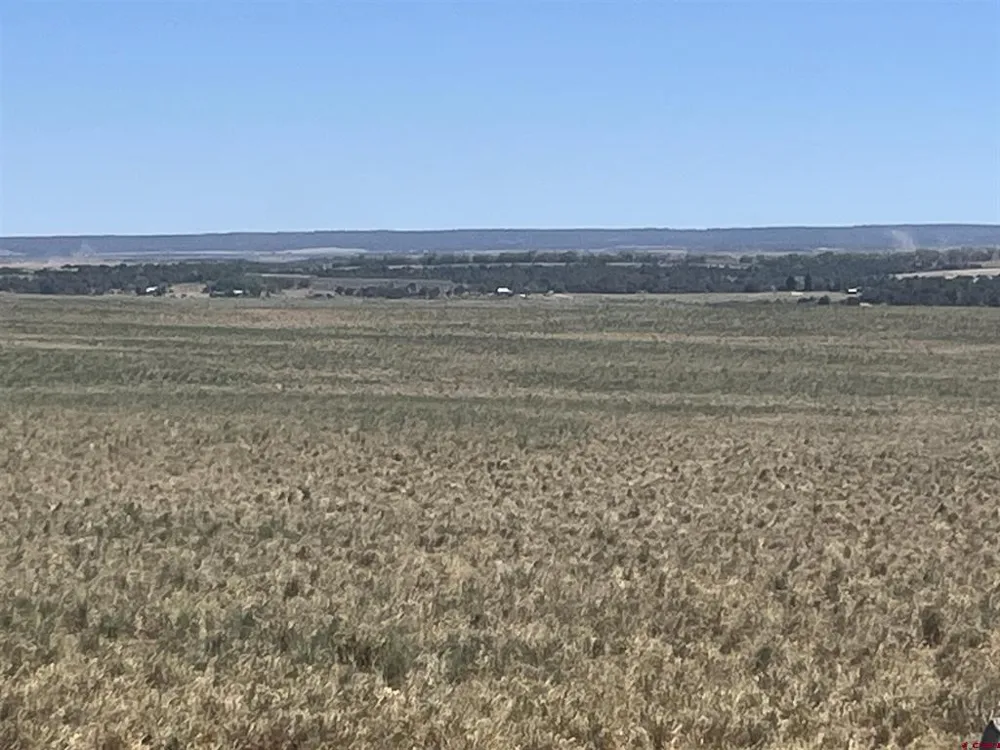 Road H (Rd 3.7) Dove Creek, CO 81324