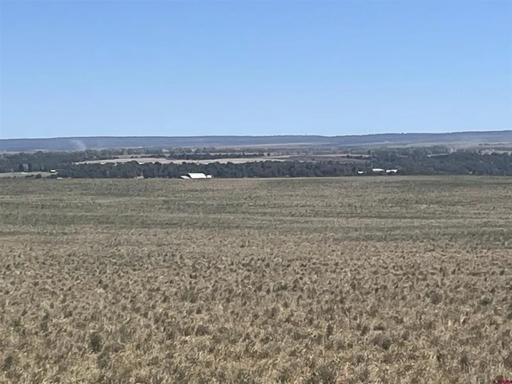 Road H (Rd 3.7) Dove Creek, CO 81324