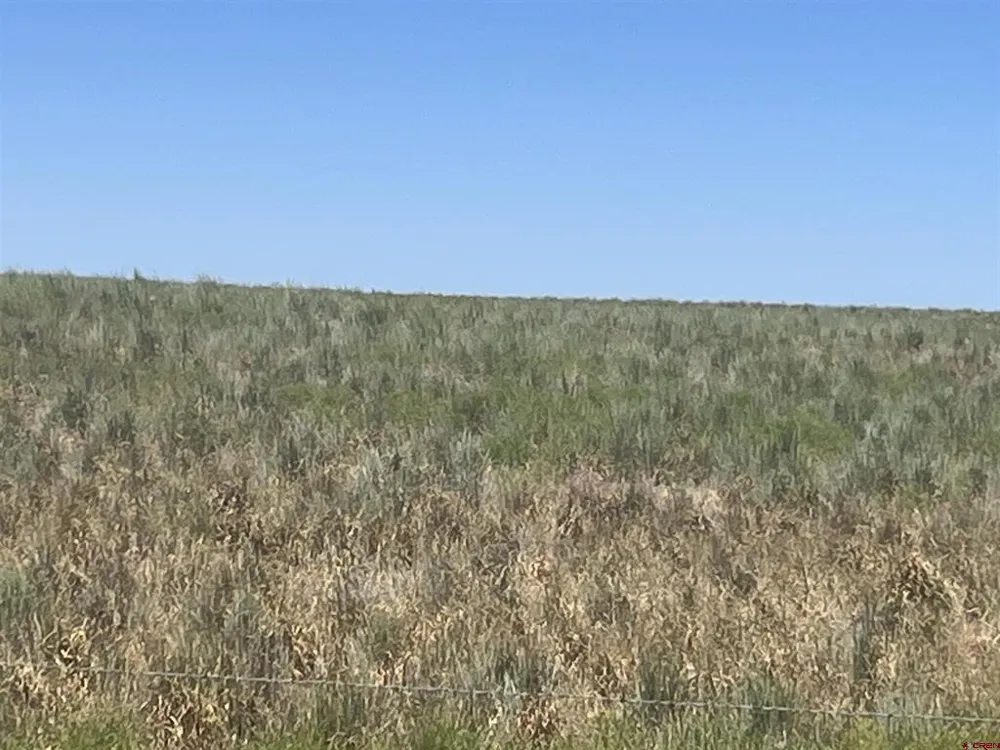 Road H (Rd 3.7) Dove Creek, CO 81324
