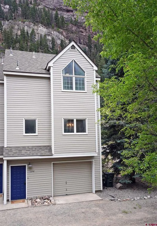 1256 Champ Lane Ouray, CO 81427