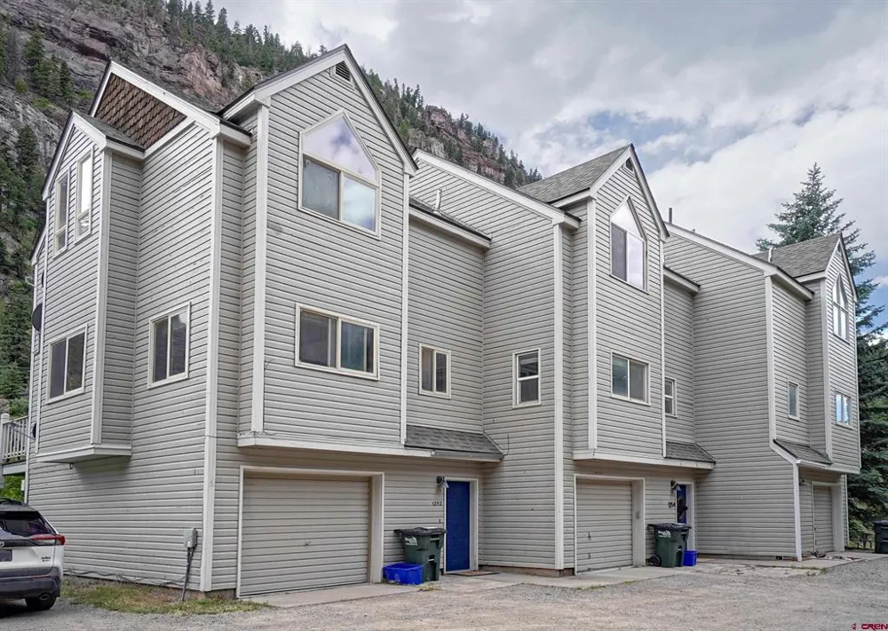 1256 Champ Lane Ouray, CO 81427