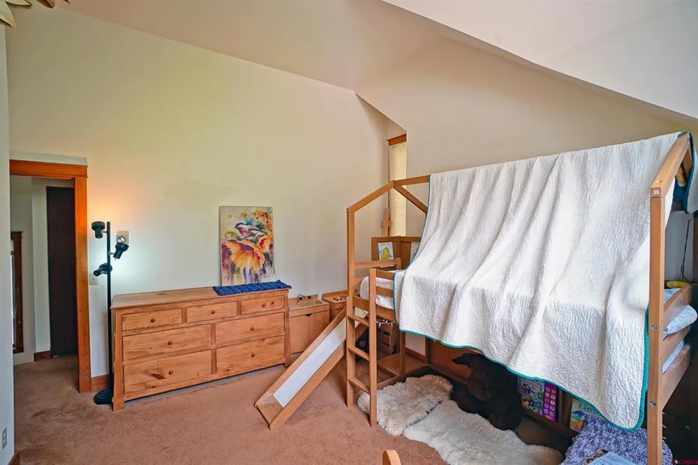 1256 Champ Lane Ouray, CO 81427