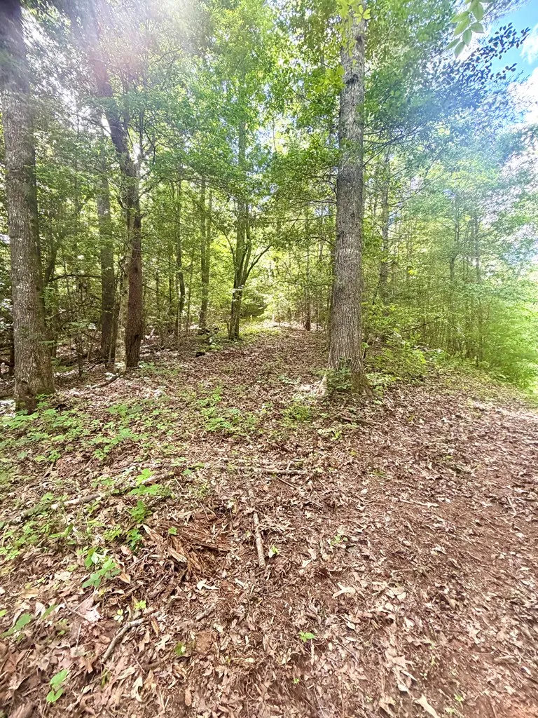 Sweetwater Rd Robbinsville, NC 28771