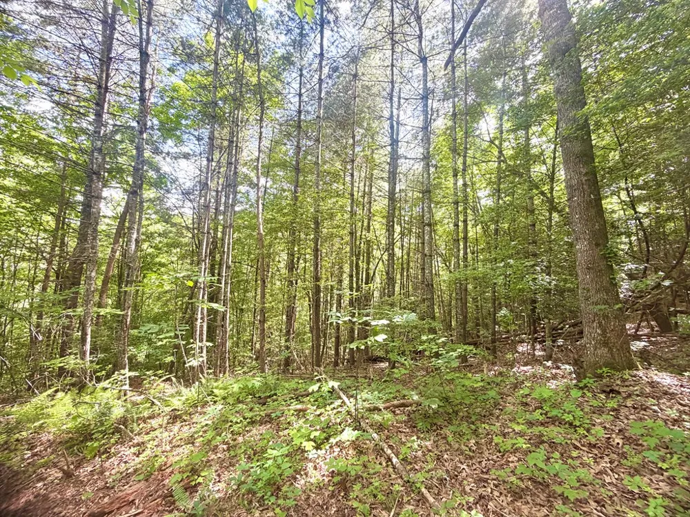 Sweetwater Rd Robbinsville, NC 28771