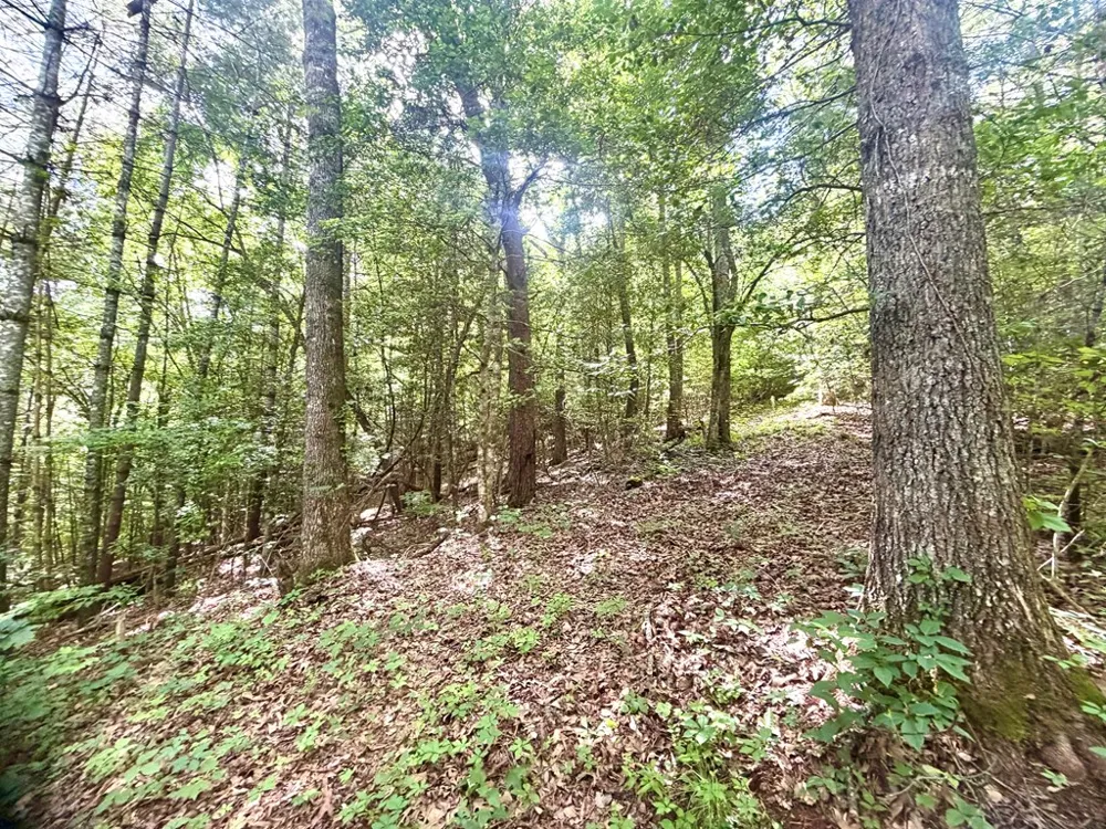 Sweetwater Rd Robbinsville, NC 28771
