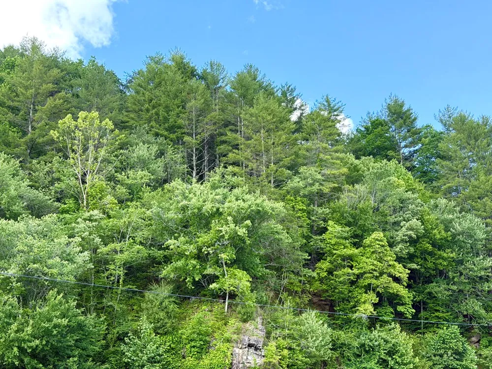 Sweetwater Rd Robbinsville, NC 28771