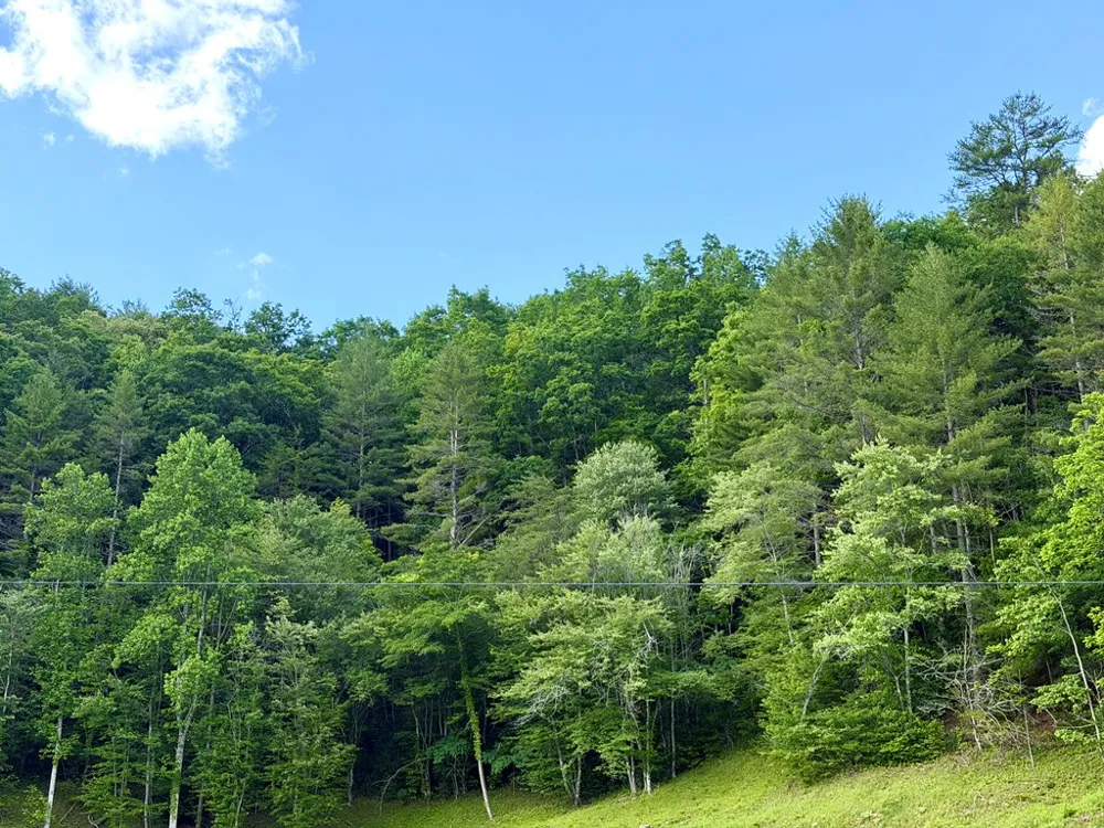 Sweetwater Rd Robbinsville, NC 28771
