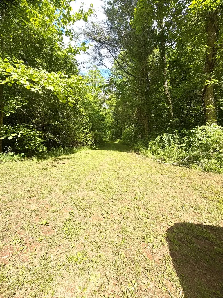 Sweetwater Rd Robbinsville, NC 28771